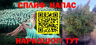 apvp Анжеро-Судженск