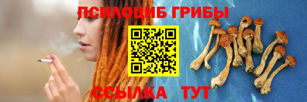 Галлюциногенные грибы Magic Shrooms Брянск
